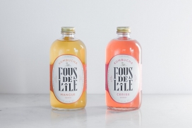 Fous de lîle-美丽的玻璃瓶发酵茶饮料