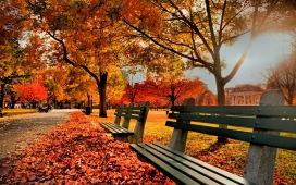 高清晰公园秋季美景风光超大壁纸下载
