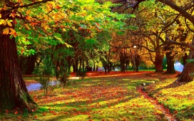 高清晰唯美公园秋季美景风光超大壁纸下载