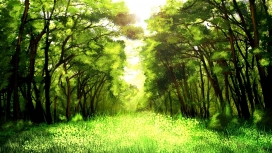 高清晰绿草森林壁纸