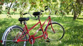 绿草上双人自行车