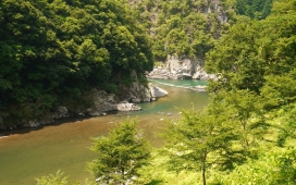 水色河峭壁绿色树