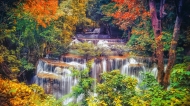 高清晰秋季森林台阶瀑布壁纸