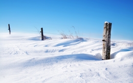 高清晰雪地中的铁丝木桩壁纸