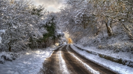 冬季雪路