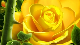 高清晰黄色玫瑰花瓣壁纸