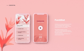 PureMind | iOS应用程序和插图