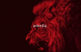 Armedia-网页开发设计界面