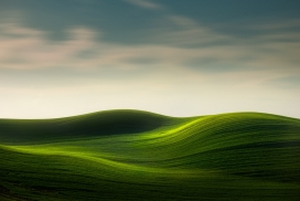 Rural Landscapes-乡间小道