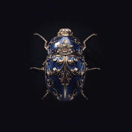 Jewel insects宝石昆虫