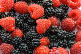 高清晰黑红野生山莓水果