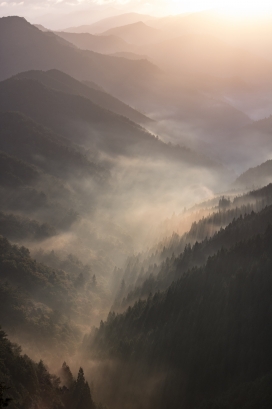 雾林山的早晨