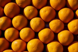 新鲜排列整齐的脐橙沃柑