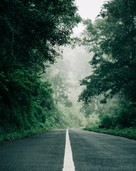 绿山的乡村马路