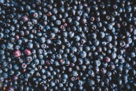 新鲜熟透的蓝莓