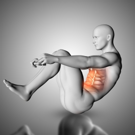 做腹部运动的人体结构图
