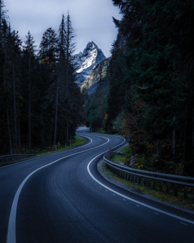 夜晚的森林弯道