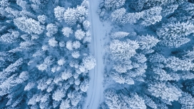 高空俯拍的森林路