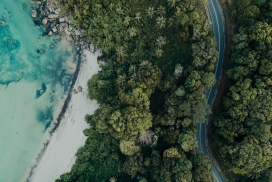 高空俯拍的森林公路