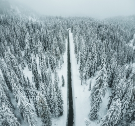 冬季被雪覆盖的公路