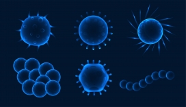 蓝色细菌图