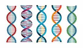 3D螺旋DNA素材图