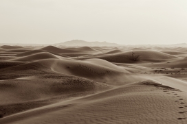 连绵起伏的沙丘