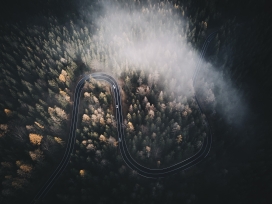 高空俯拍雾气下的森林蜿蜒路