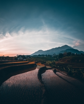 故乡的梯田风景图