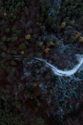 高空航拍的森林小路