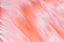 粉红色的液体抽象图