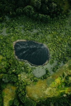 高空俯拍的森林水洼地图片