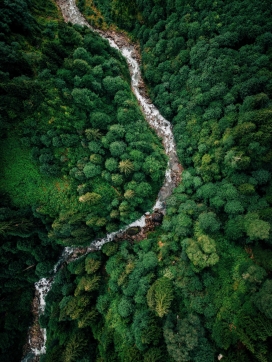 俯拍森林绿色小溪风景