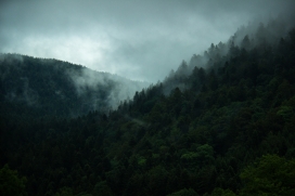 雨后雾气的森林山脉