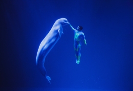 蓝色海底海豚表演图