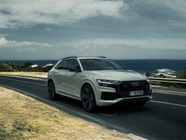 AUDI Q8越野车