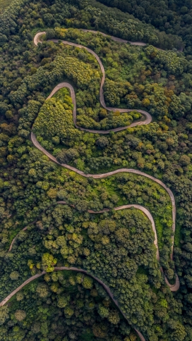 山路18弯风景图