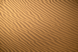 金色波浪线的沙漠