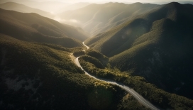 雾气蒙蒙的山丘公路