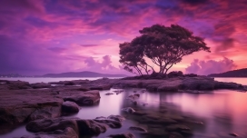 紫色日落湖景树晚霞风景