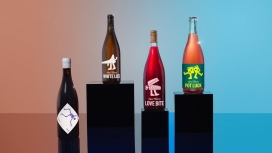 颠覆规则新理论葡萄酒品牌包装设计
