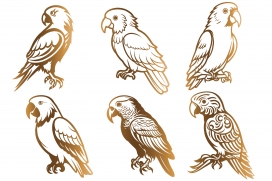 六款金色手绘大纲鹦鹉插图集