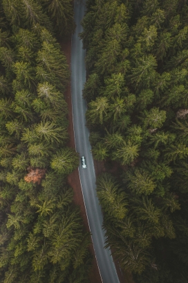 高空俯拍行走在森林公路上的白色汽车