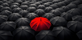 一点红-黑色群伞中的一把红雨伞
