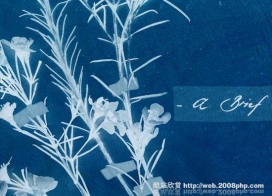 09欧美五颜六色花纹植物盘子图片