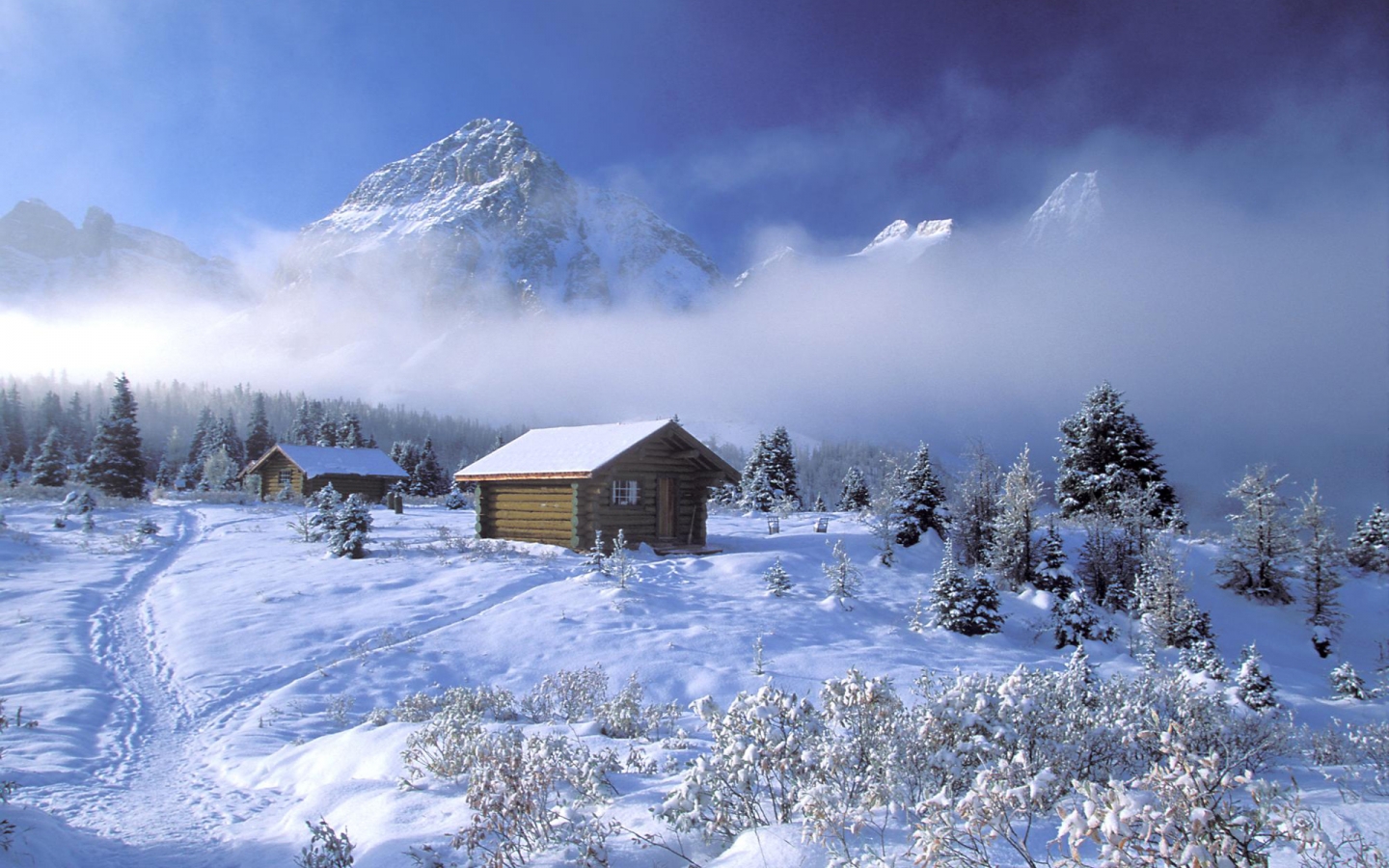 冰天雪地 北美洲高清晰大自然雪景山峰壁纸 手机移动版