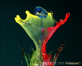 比利时极具创意的液态水花组合创意摄影欣赏