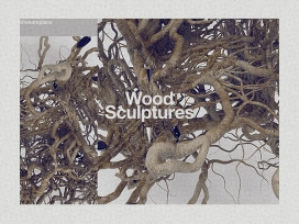 欧美Wood Sculptures木雕根雕