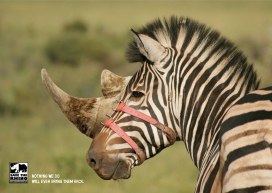 国外Save the Rhino动物皮带索套平面--任凭我们将永远把它们带回