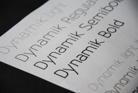 加拿大Dynamik typeface瘦小英文字体设计